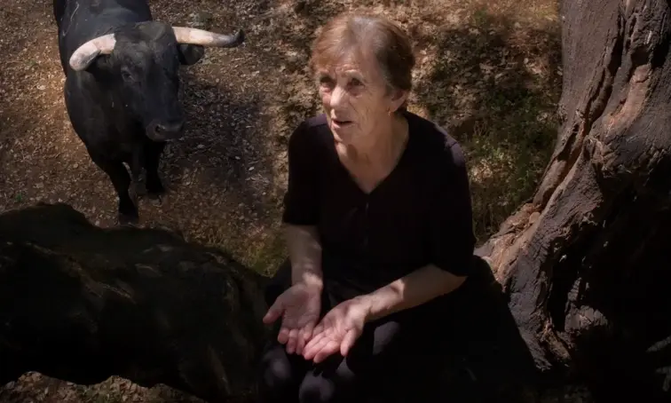 "Fogo do Vento", o premiado filme de Marta Mateus que é uma "narrativa coral" s... 21 mai. 2026, 10:55