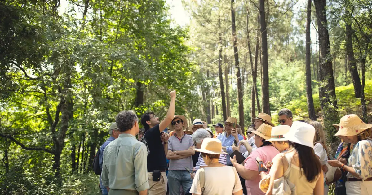 Festival Terras sem Sombra celebra o Alentejo com música, sem esquecer o património e o mundo rural