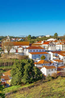 Sertã
