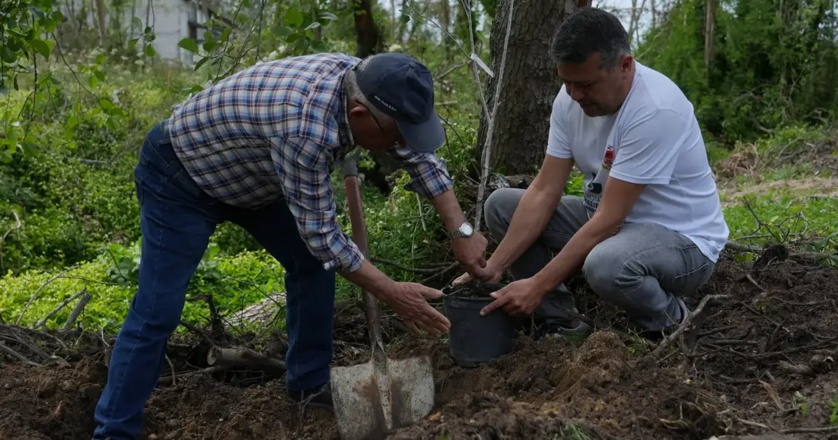 Mais de 7.300 árvores plantadas com iniciativa que promove a compra de livros