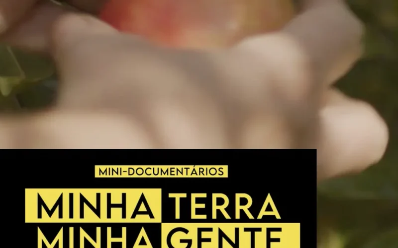 Da serra para a mesa