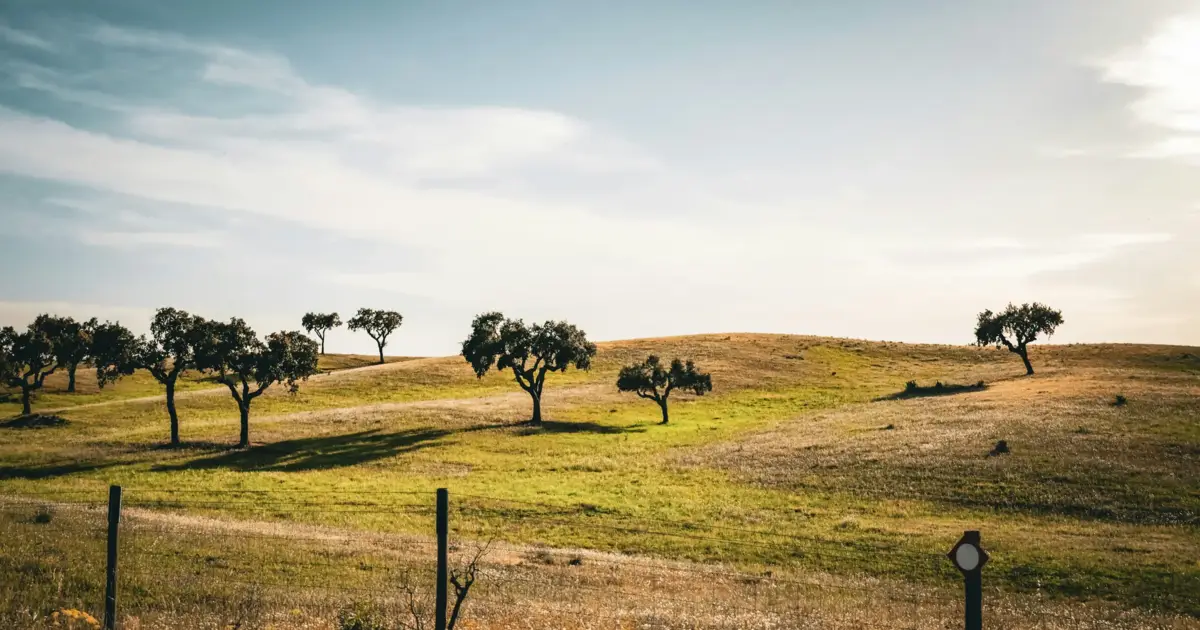 Alentejo e Lezíria do Tejo recebem 9 milhões de euros para 44 projetos de inclusão cultural
