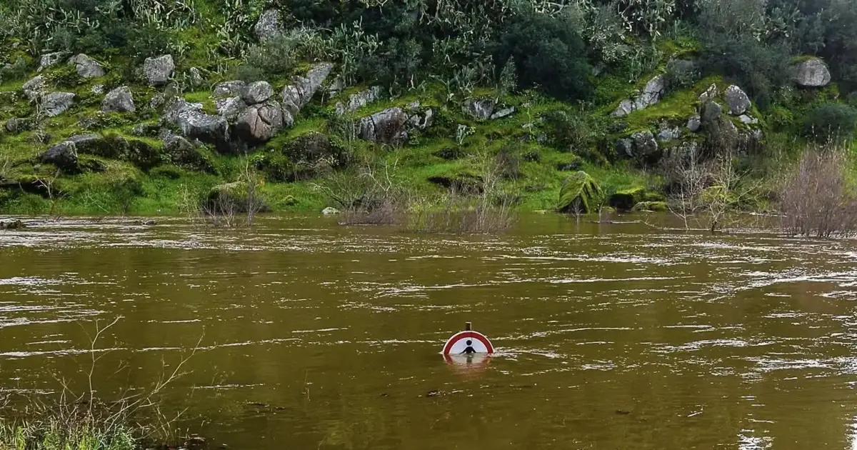 Tejo sobe e atinge 7.839 m³/s em Almourol