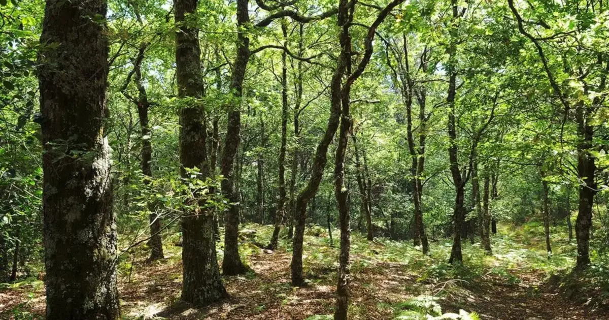 Municípios do Douro e Tâmega desmistificam regras da Paisagem Protegida da Serra da Aboboreira