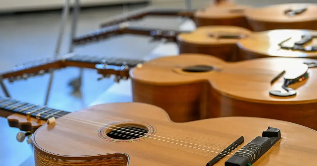 Castelo Branco lança Concurso Internacional de Composição Musical para Viola Beiroa