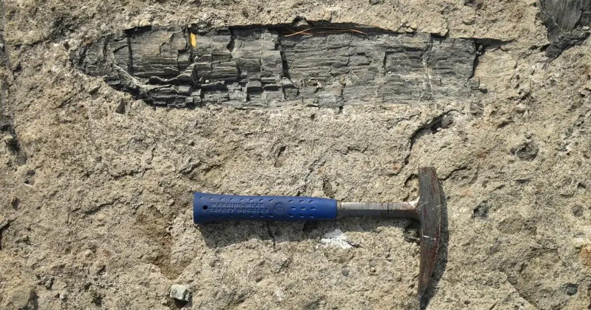 À descoberta da Pré-História em Alcanena: identificados 37 novos sítios arqueológicos