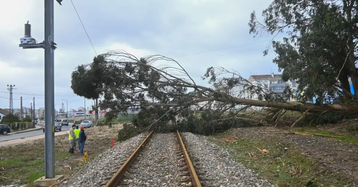Dez estações meteorológicas registaram rajadas de vento superiores a 120 km/hora
