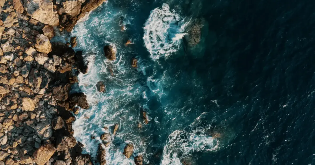 Novo Tratado do Alto-Mar é “sinal de esperança” para os oceanos, diz WWF