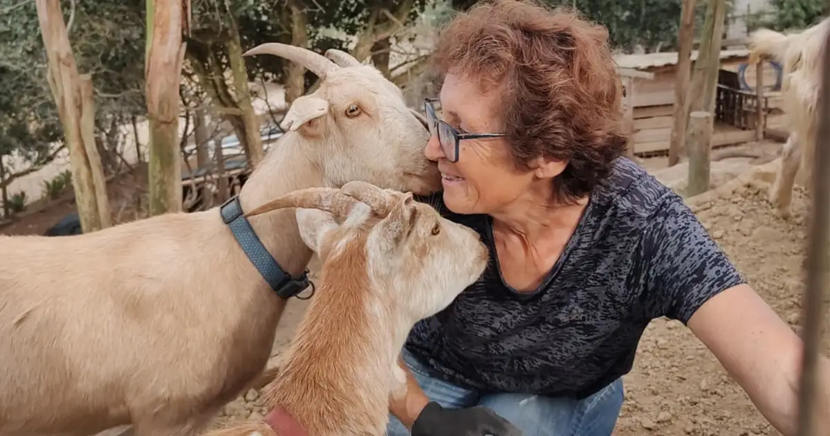 Quinta da Ti Tila: um novo mundo para as crianças na Lourinhã
