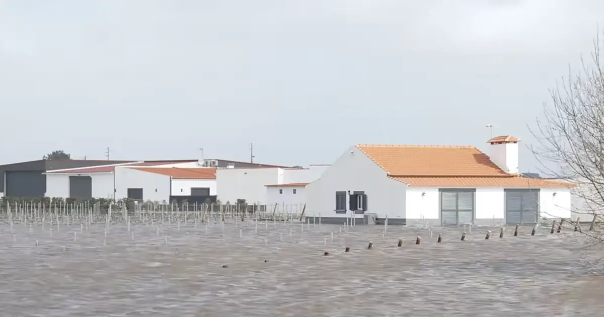 Inundações em Salvaterra de Magos obrigam à evacuação de moradores e isolam localidades