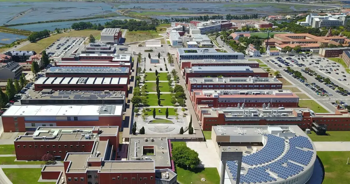 Estudo da Universidade de Aveiro sugere reaproveitamento de resíduos da pesca