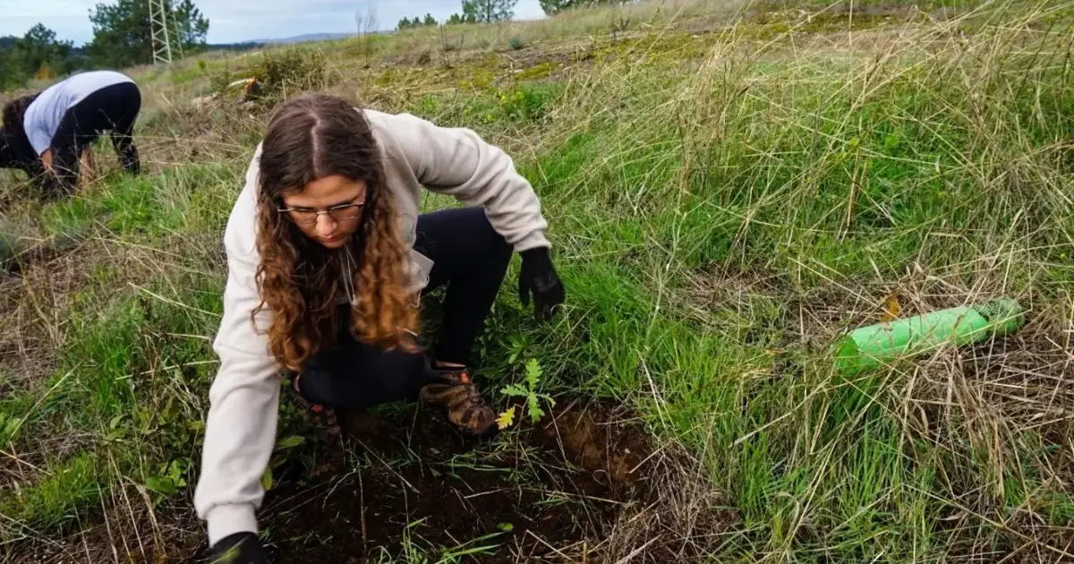 Os desafios das mulheres na agricultura: há mais dificuldades no Norte e Centro do país