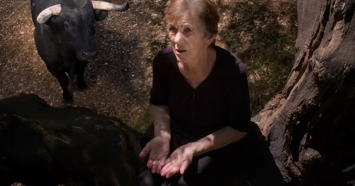 “Fogo do Vento”, o premiado filme de Marta Mateus que é uma “narrativa coral” sobre o Alentejo