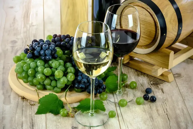 Governo cria Observatório do Vinho e da Vinha para apoiar o setor 21 jan. 2026, 12:36