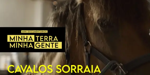 Cavalos Sorraia