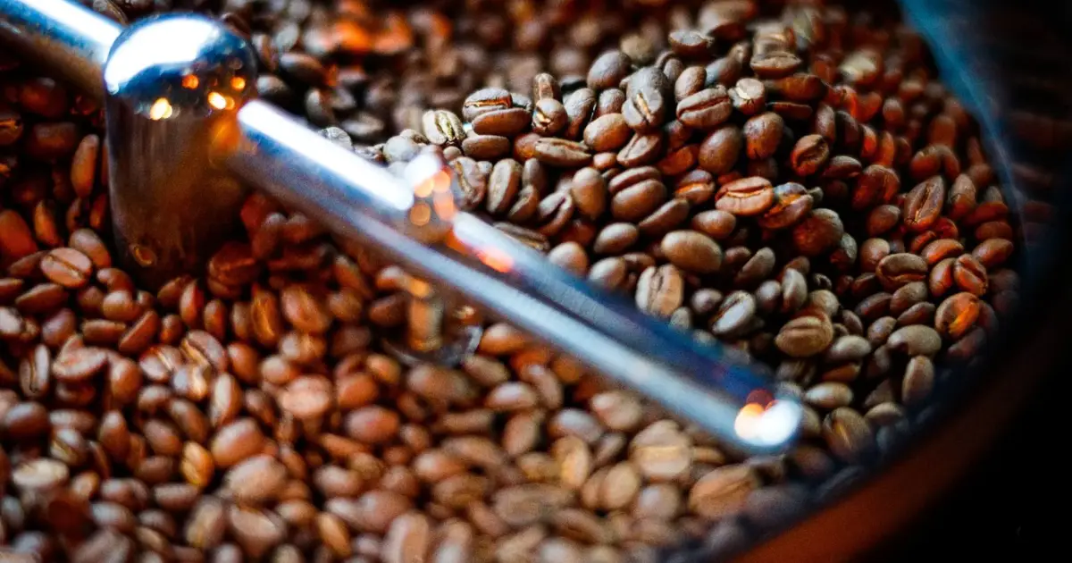 Estudo revela aroma de jasmim e frutas no café moçambicano do parque de Chimanimani