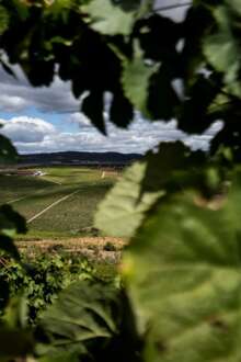 Feira dos Altos promove negócios e vinhos do planalto de Alijó em junho 28 mai. 2026, 14:57