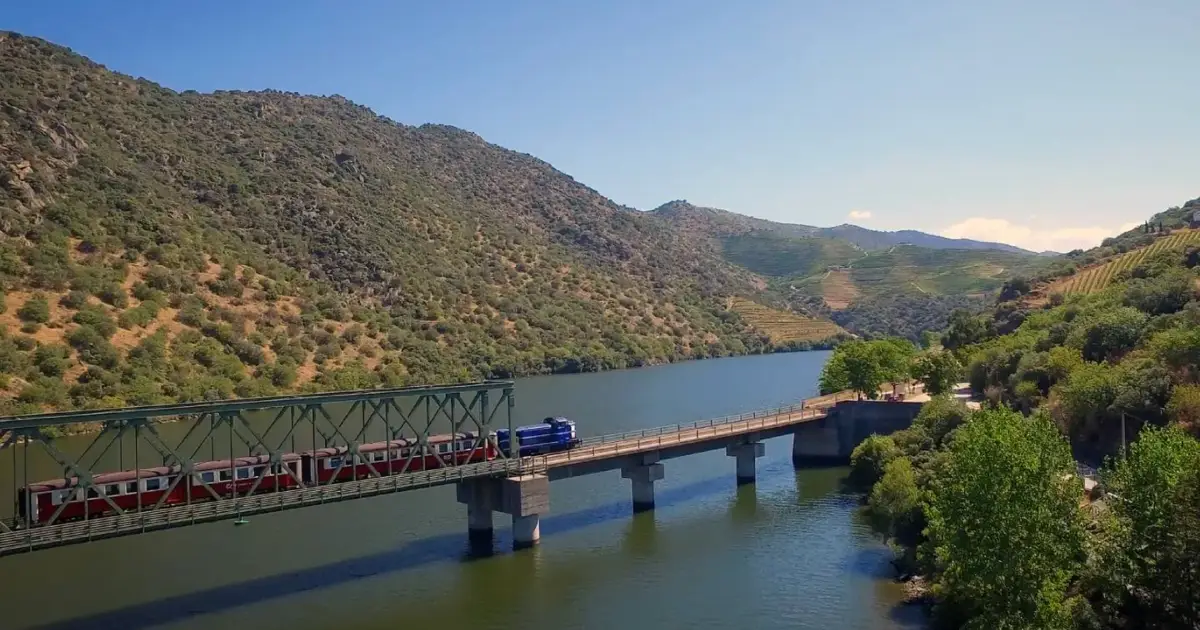 Turismo fluvial no Douro pede “investimento urgente” nas infraestruturas fluviais