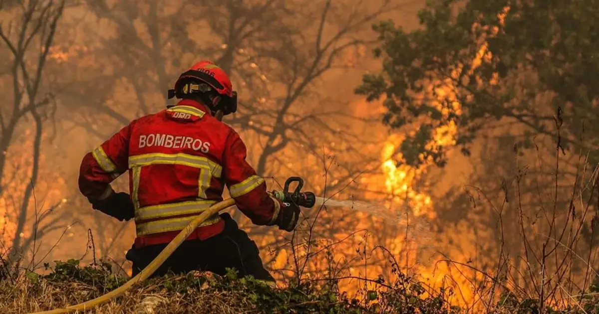 Incêndios: Covilhã investe em reservatórios de apoio ao combate 17 mar. 2026, 17:31