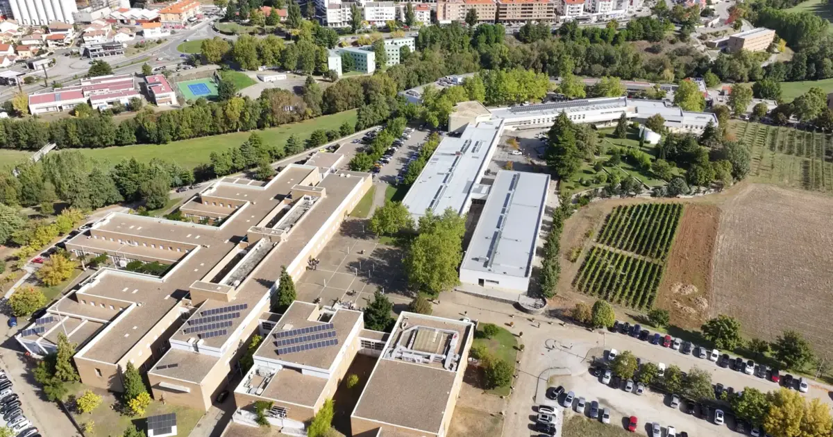 IPB quer passar a universidade para atrair mais financiamento e alunos nacionais