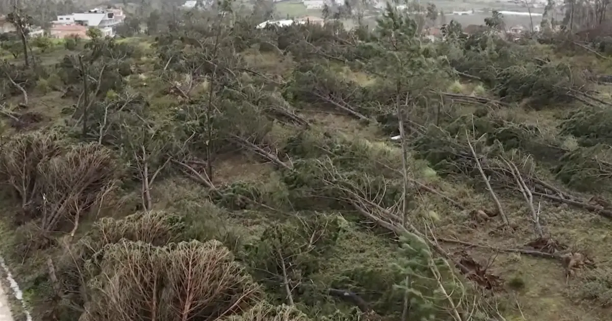 Ver agora 1:52:21