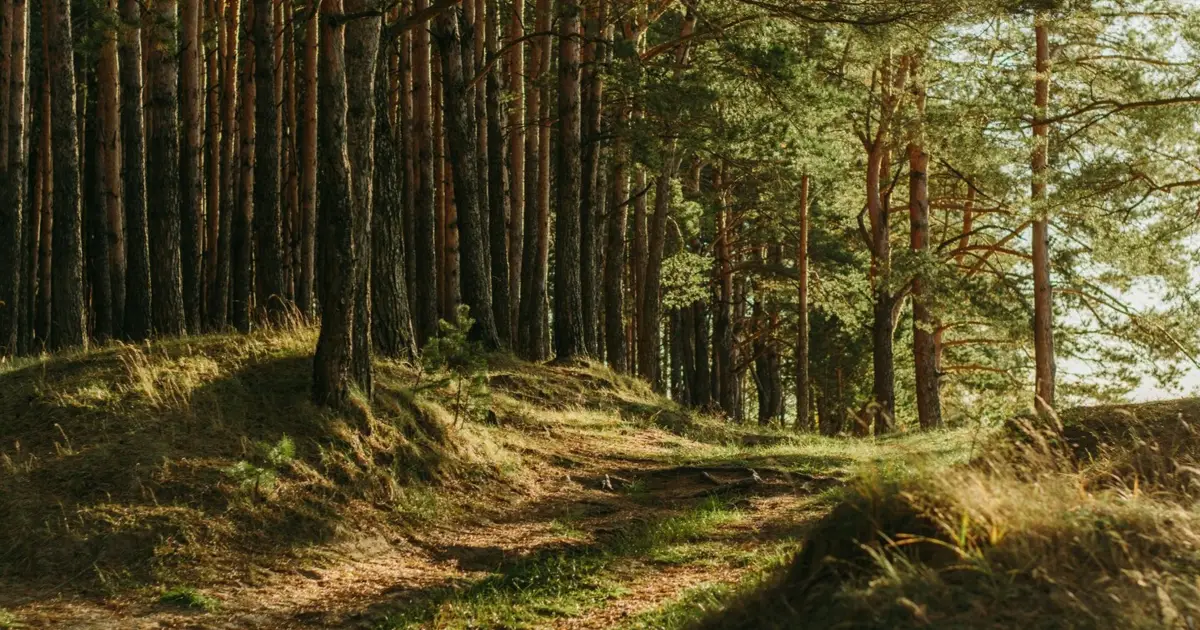 Três Reservas de Biosfera ibéricas em risco de perda de estatuto
