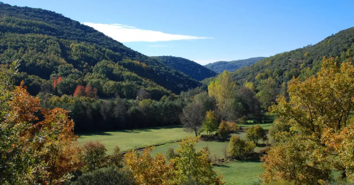 Mais de 6 milhões de euros vão ser investidos em projetos para revitalizar Parque Natural de Montesinho