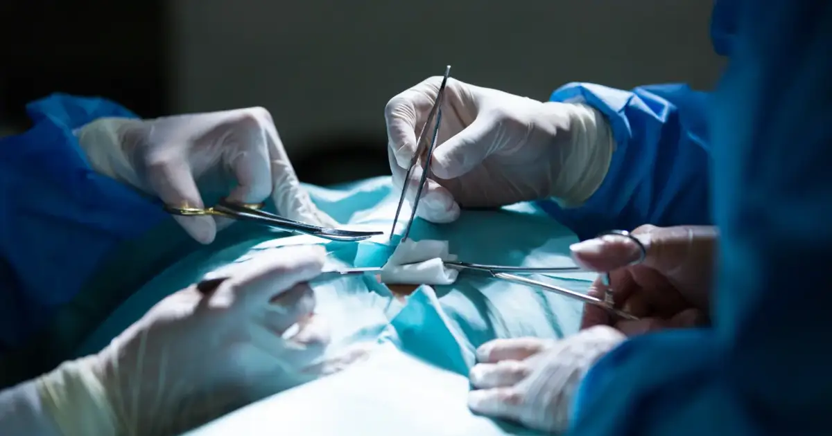 ULS de Coimbra ultrapassou as 70 mil cirurgias em 2025