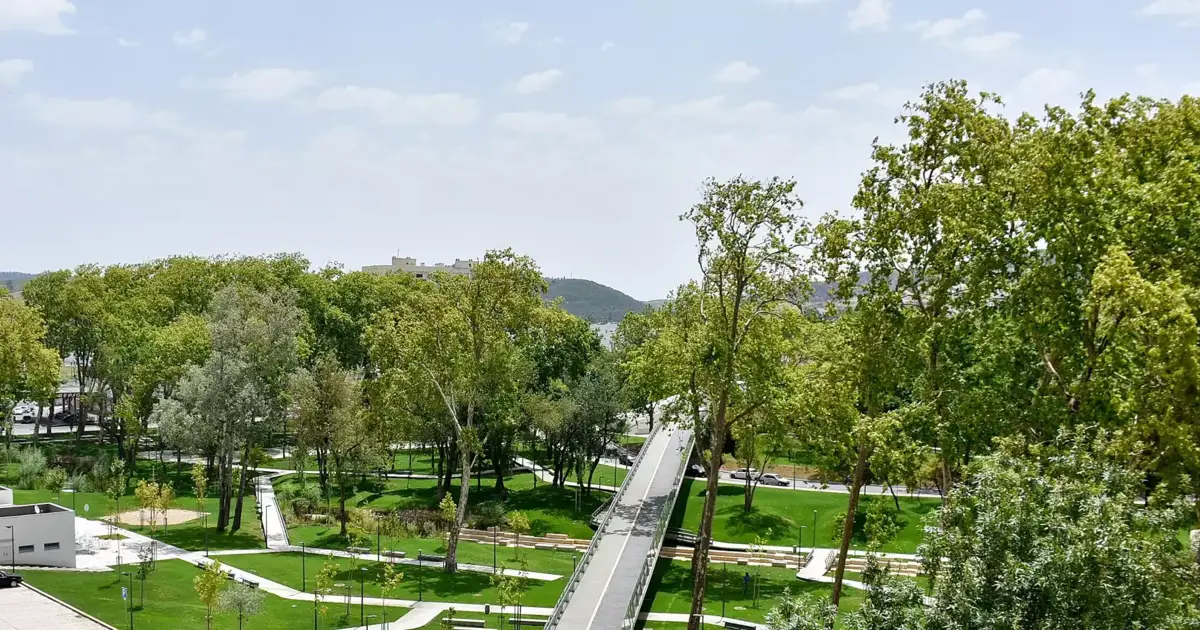 Câmara de Torres Vedras quer tornar cidade mais verde dentro de dois anos