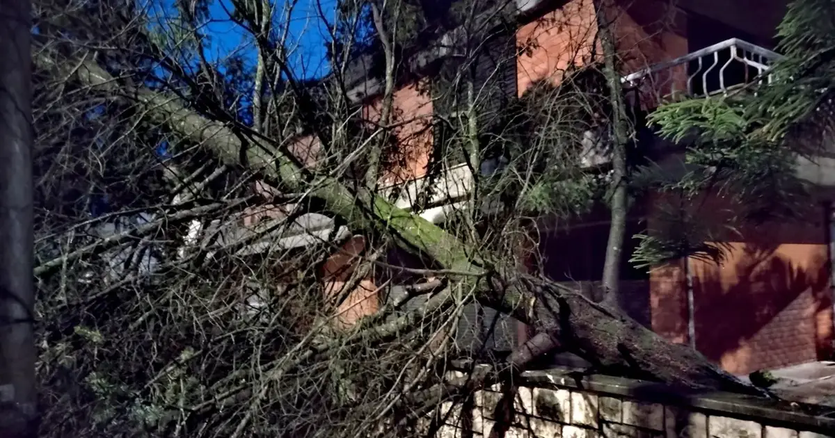 Pelo menos cinco mortos devido a tempestade que deixou rasto de destruição
