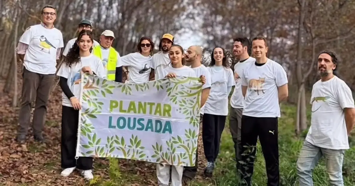Lousada quer plantar 250 mil árvores com projeto ambiental que envolve a comunidade