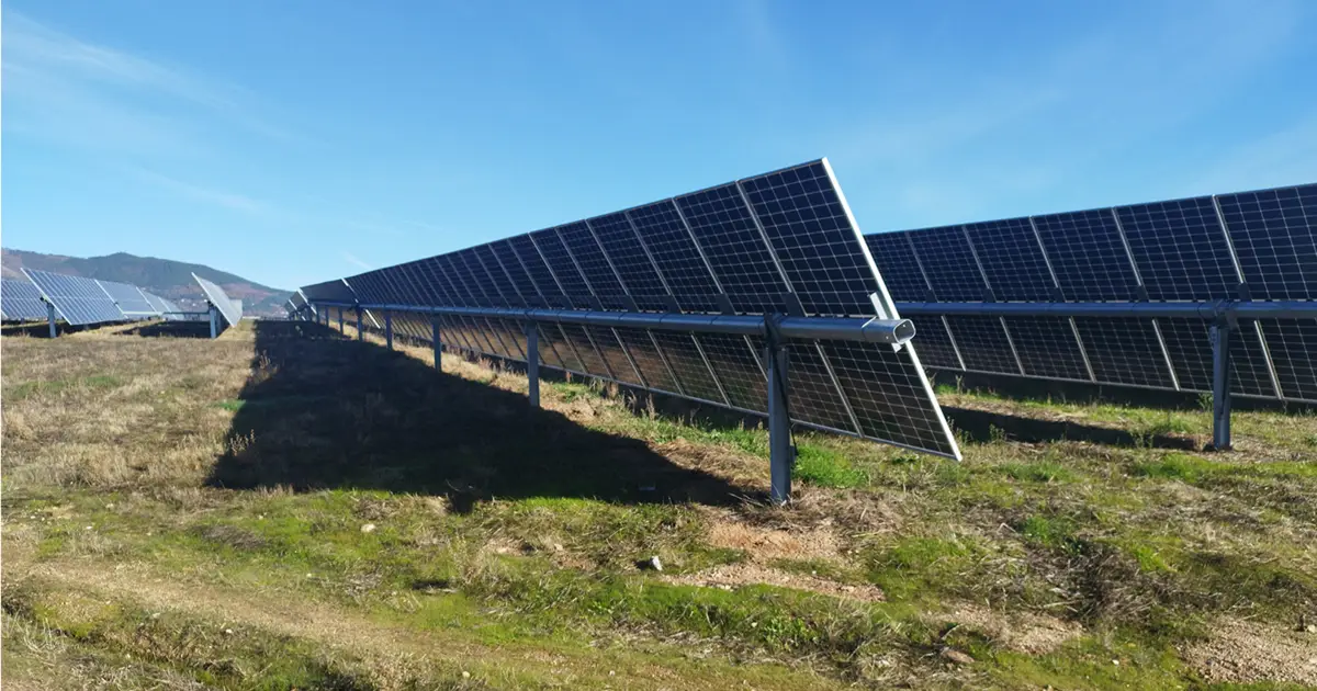 Uma Sophia nada consensual: o que está em causa no projeto da central fotovoltaica
