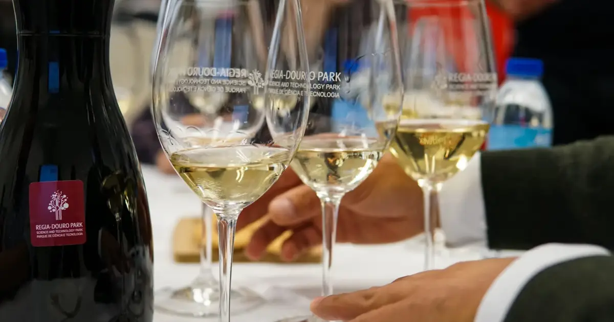 Douro TGV junta 80 produtores e debate mercados do vinho em ano de aniversário do Regia Douro Park