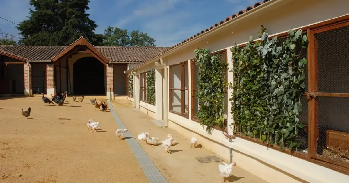 Agromuseu da Ortigosa quer ser motor do Norte de Leiria