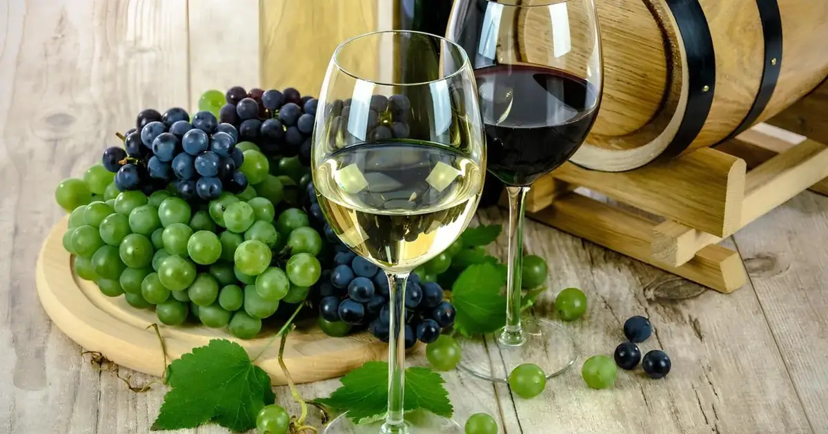 Governo cria Observatório do Vinho e da Vinha para apoiar o setor