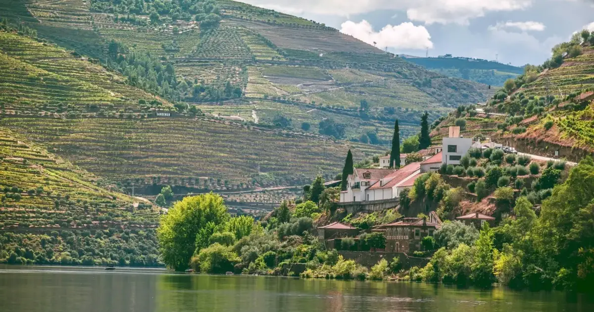 Douro recebe competição internacional de vinhos em 2027