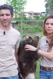 Família deixou Lisboa para criar projeto de "sonho" no campo: uma quinta de agri... 27 mai. 2026, 08:00
