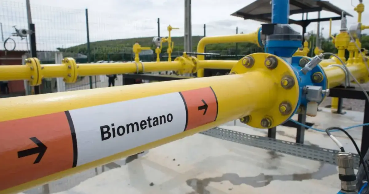 REN emite primeiro certificado de biometano em Portugal