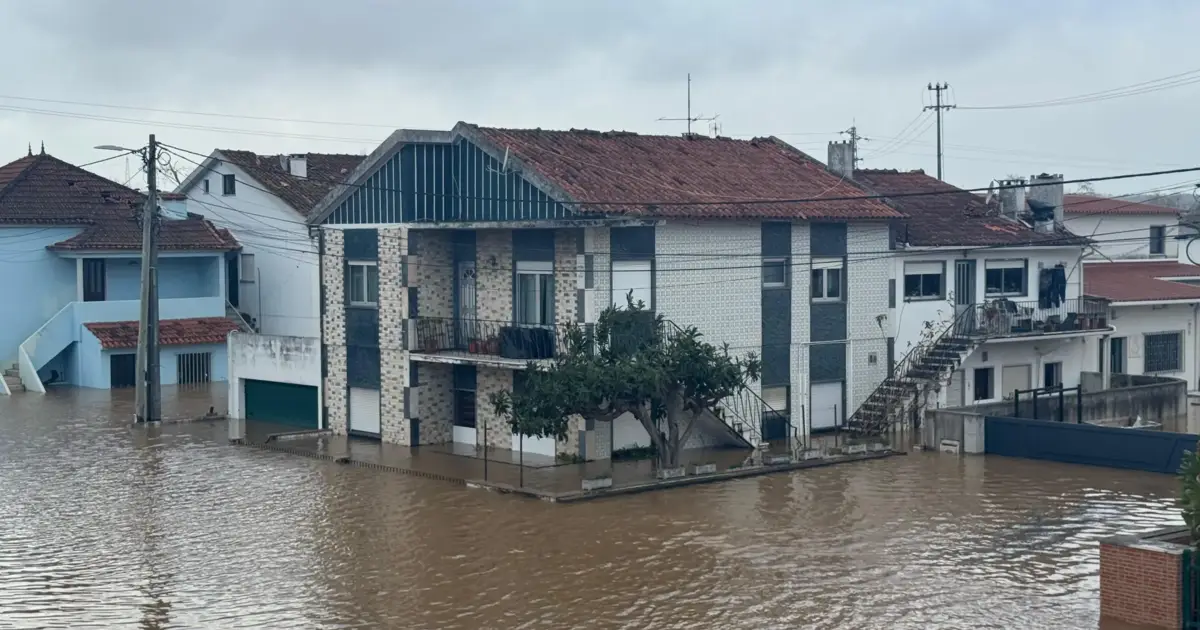 Comunidade chinesa doa materiais em freguesia de Leiria após depressão Kristin