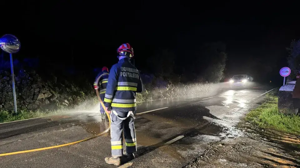 Água, lama e pedras da Serra de São Mamede em Portalegre danificam dezenas de carros