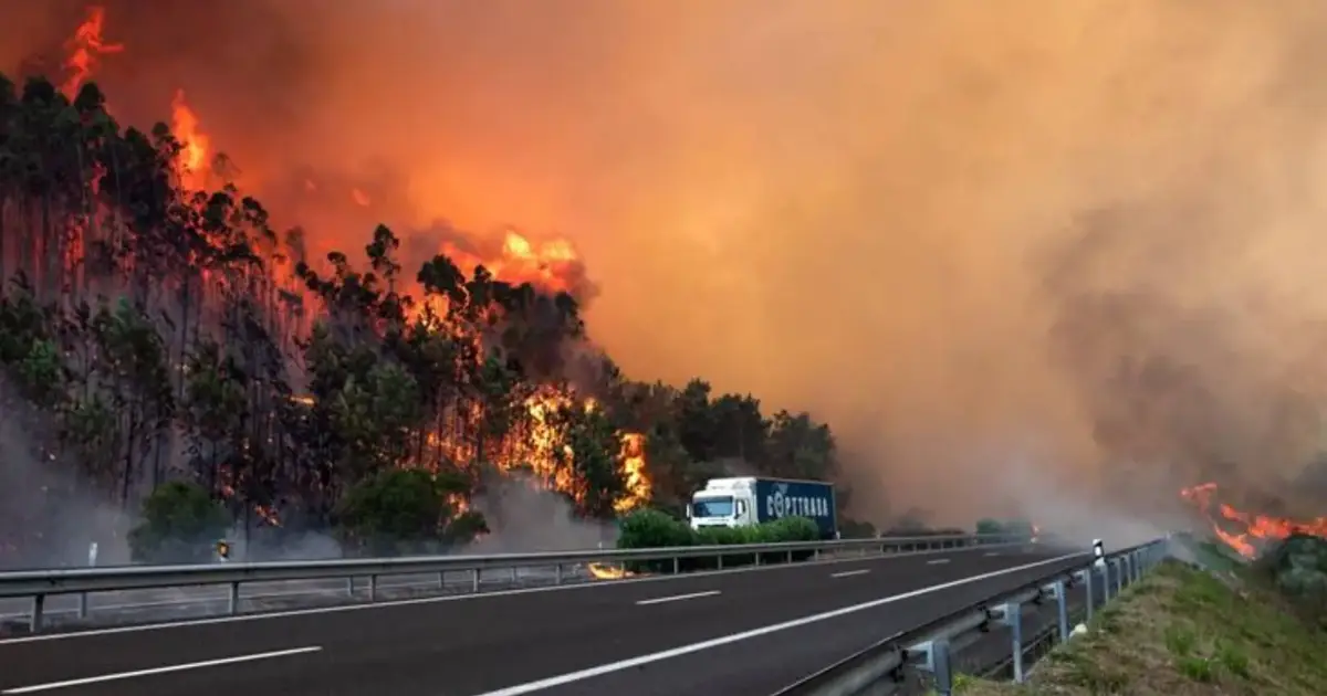 A1 cortada entre Albergaria e Aveiro nos dois sentidos após incêndio de grandes dimensões