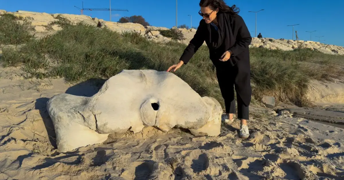 Osso de baleia com milhares de ano descoberto na praia da Figueira da Foz