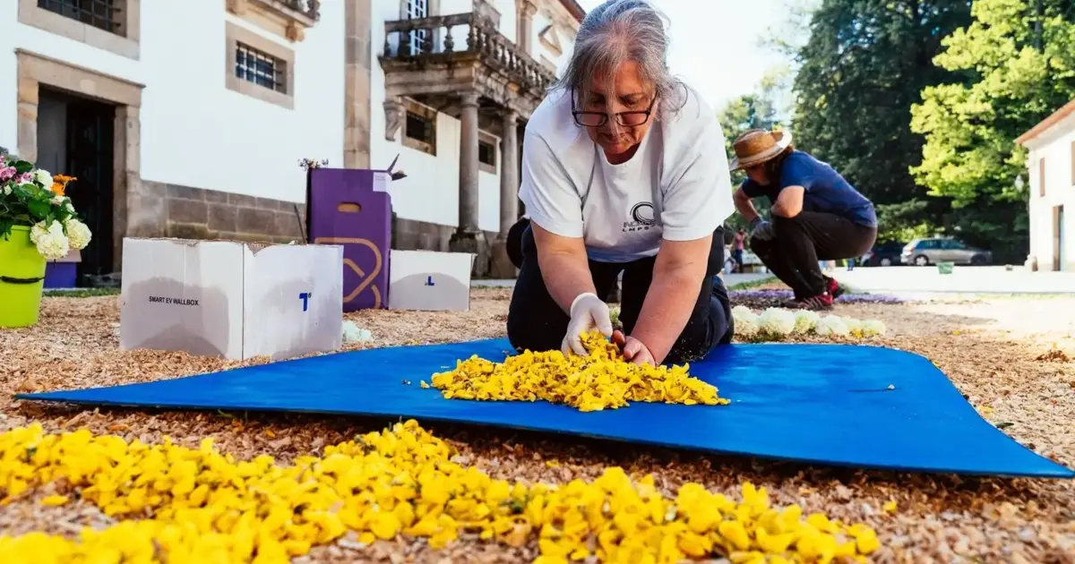 Tapete de flores com um quilómetro une comunidade à Casa de Mateus na Pascoela