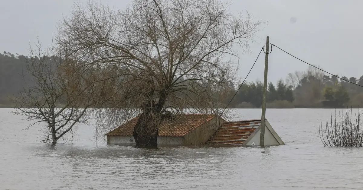 Tempestades que começaram há um mês deixaram cenário de devastação em Portugal