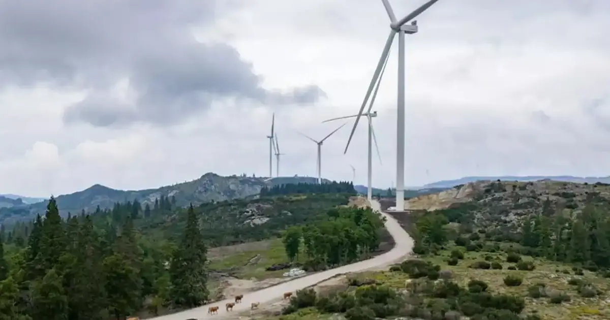Maior parque eólico do país já está a produzir energia