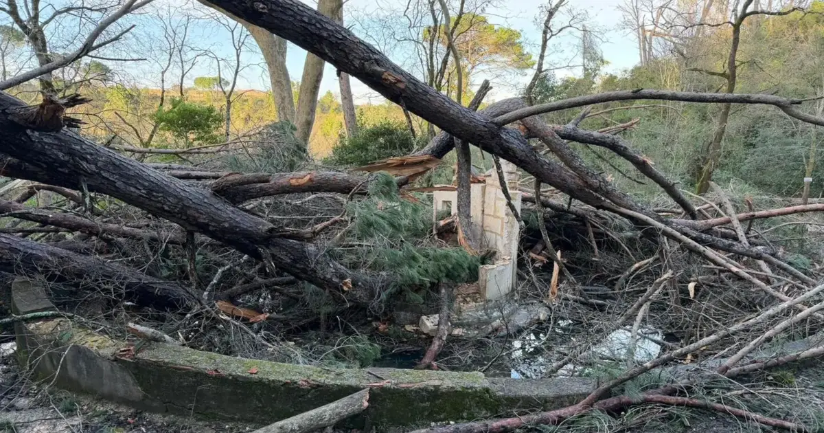 Charolinha da Mata dos Sete Montes destruída devido ao mau tempo