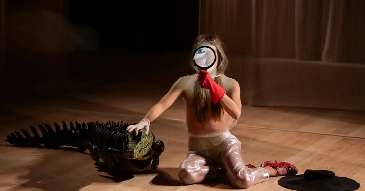 Festival DDD regressa a Porto, Matosinhos e Gaia com 50 espetáculos