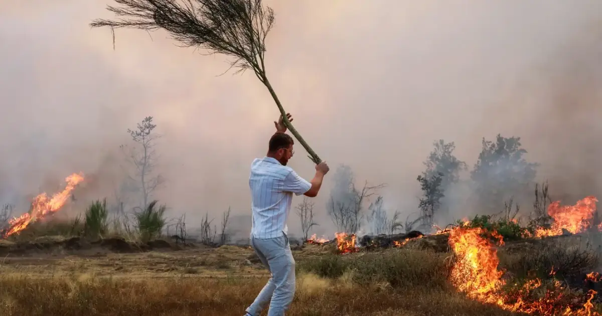 Freixo de Espada à Cinta distribui comedouros e bebedouros após incêndio devastador no Douro Internacional