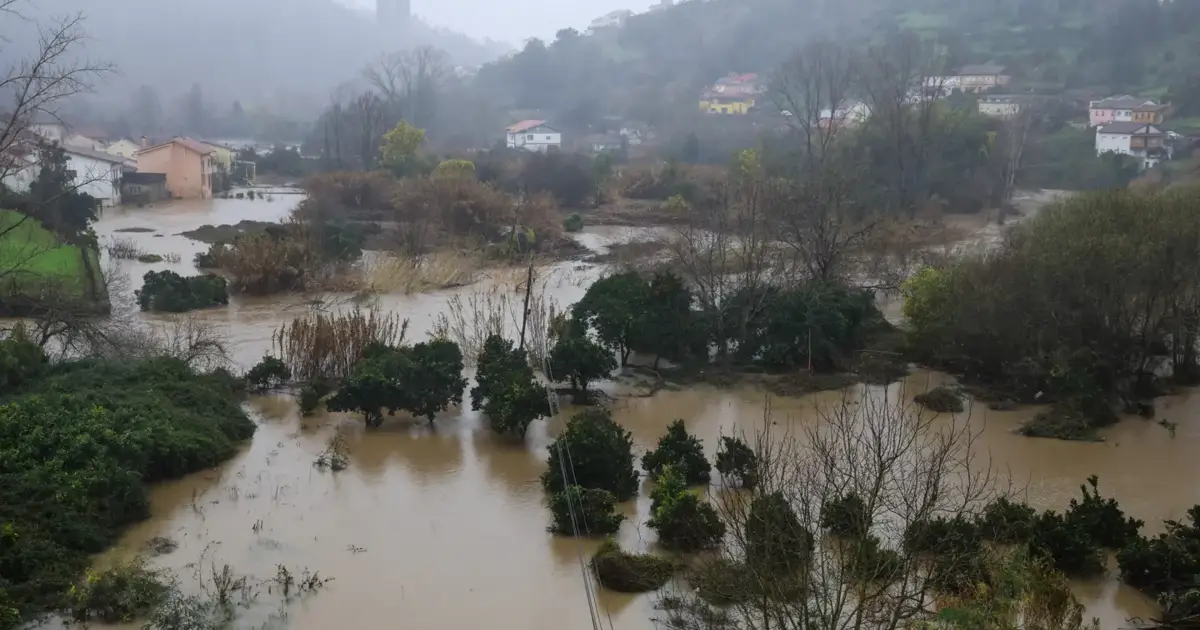 PRR vai ver revisto “o mais rápido possível”