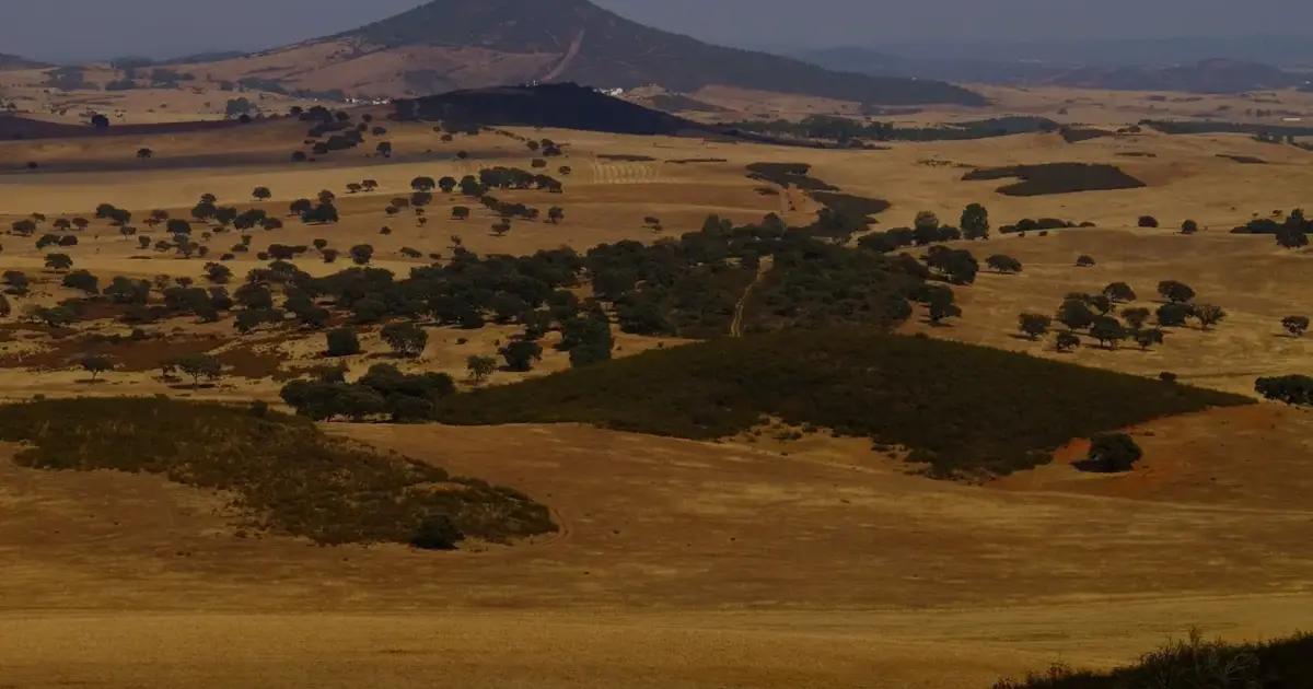 Alentejo 2030 apoia projetos de combate ao despovoamento com 1,2 milhões de euros